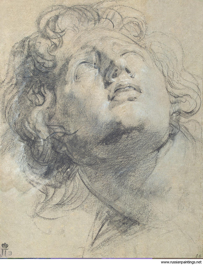  彼得·保罗·鲁本斯 Peter Paul Rubens——仰视上方的年轻男子头像